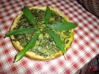 /album/ail-des-ours-le-retour-/tarte2-ail-des-ours-jpg/